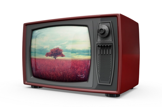 A vintage television set showing a lone tree on a red plain
